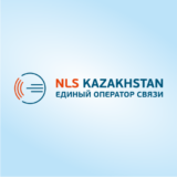 Логотип NLS Kazakhstan